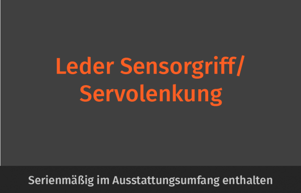 Leder Sensorgriff / Servolenkung